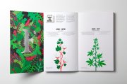 广告公司在报价中是否提供与广告项目相关的公关和媒体运动用度
