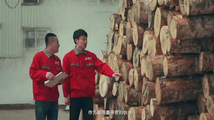 orange橘子平台·(中国区)官方网站