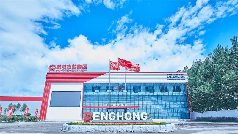 orange橘子平台·(中国区)官方网站“定造家”升级“妄想家”