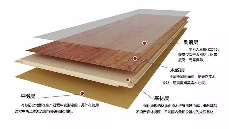 orange橘子平台·(中国区)官方网站强化地板刨面图