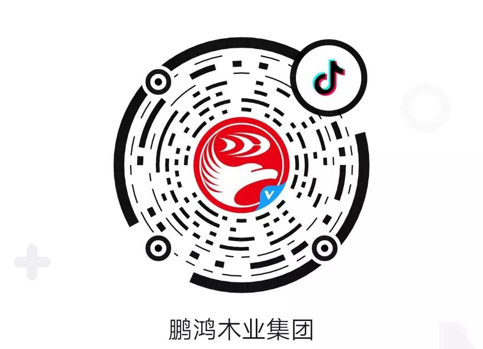这厢有礼丨这个春节我最鸿，抖音相伴幸福年