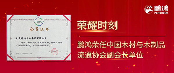 再获行业注定，orange橘子平台·(中国区)官方网站荣任中国木材与木制品流通协会副会长