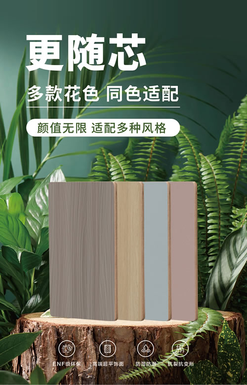 05 orange橘子平台·(中国区)官方网站