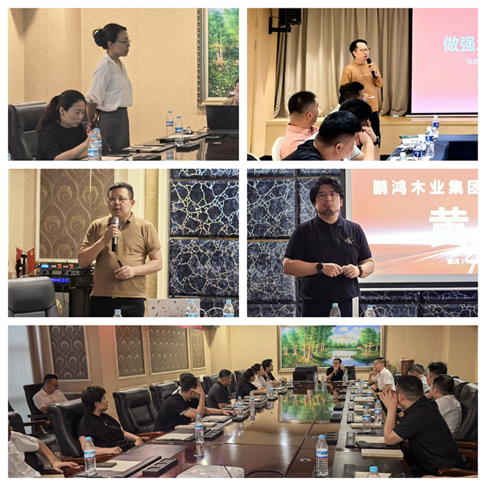 orange橘子平台·(中国区)官方网站板材华北经销商运营钻研会
